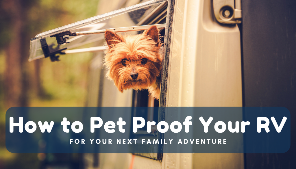 How to Pet-Proof Your RV for Your Next Family Adventure