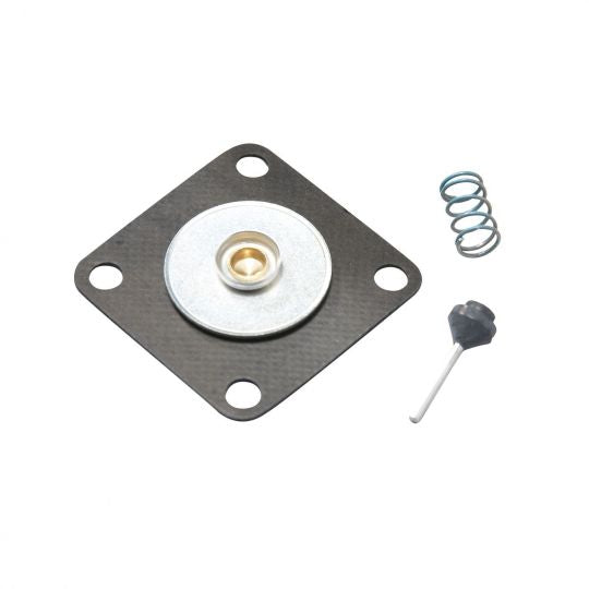 Rebuild Kit for Stainless Steel Watts 263A